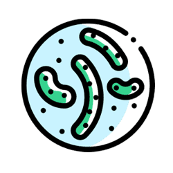 Parasite Worm Counts for live stock